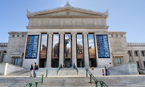 Fun Things To Do In Chicago The Field Museum of Natural History