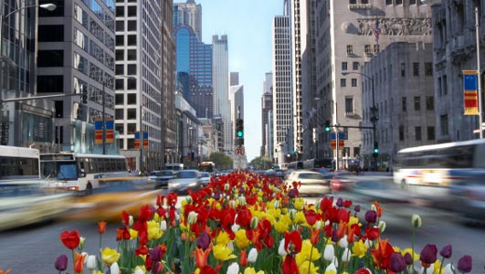Fun Things To Do In Chicago The Magnificent Mile